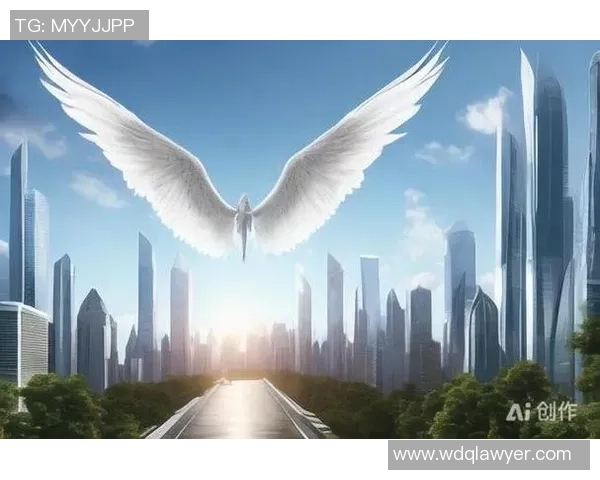 何思雨：在风雨中绽放的坚韧与梦想的追寻之旅