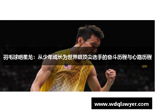 羽毛球明星龙：从少年成长为世界级顶尖选手的奋斗历程与心路历程