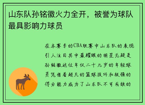 山东队孙铭徽火力全开，被誉为球队最具影响力球员